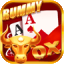 rummy cards sequence logo
