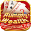 new rummy aap logo